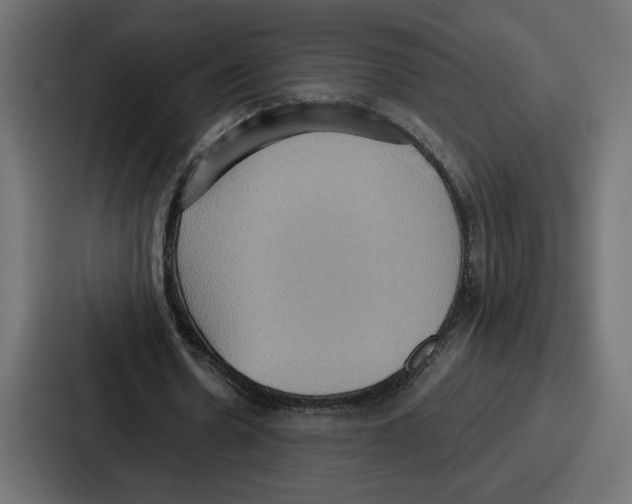 X0000086750530200705111657