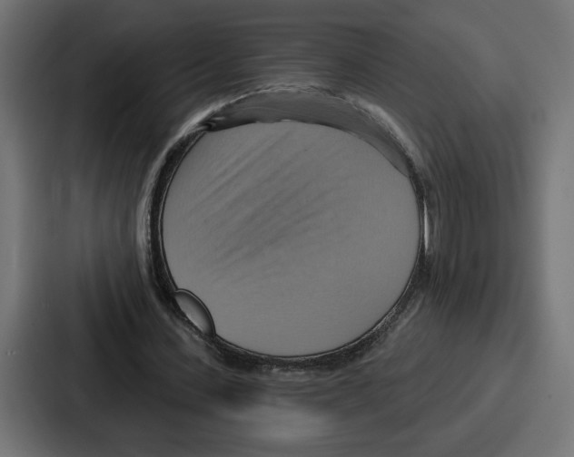 X0000086750531200705111657