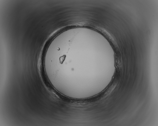 X0000086750532200705111657