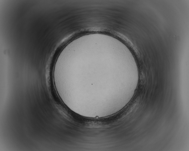 X0000086750535200705111657