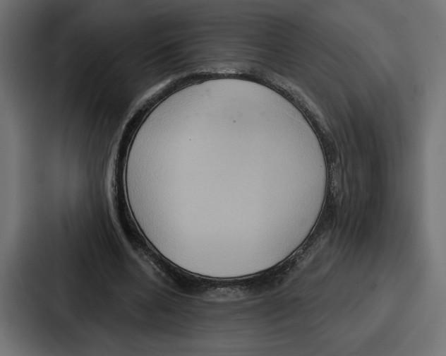 X0000086750536200705111657
