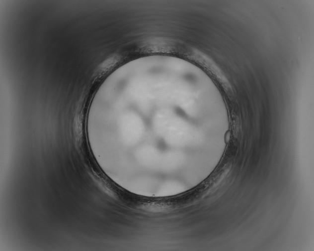 X0000086750537200705111657