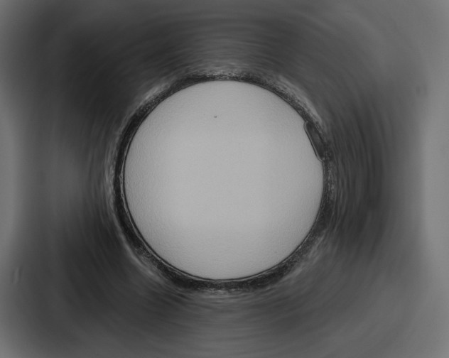 X0000086750538200705111657