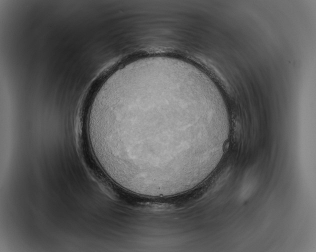 X0000086750539200705111657