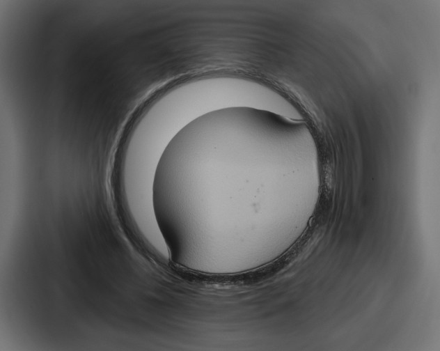 X0000086750540200705111657