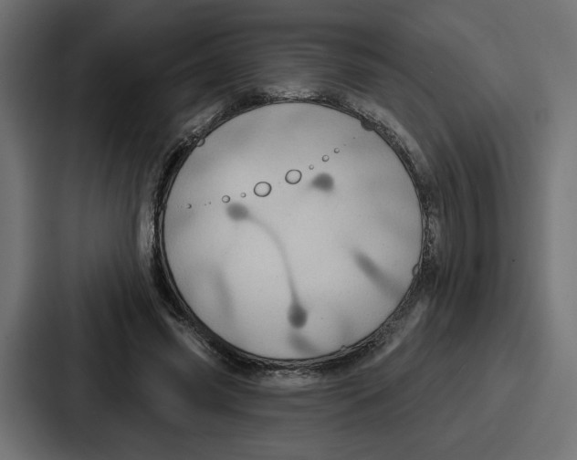 X0000086750541200705111657