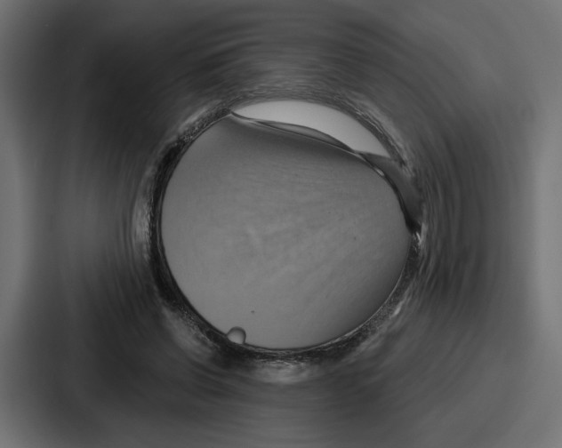 X0000086750542200705111657