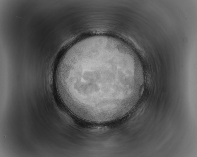 X0000086750543200705111657