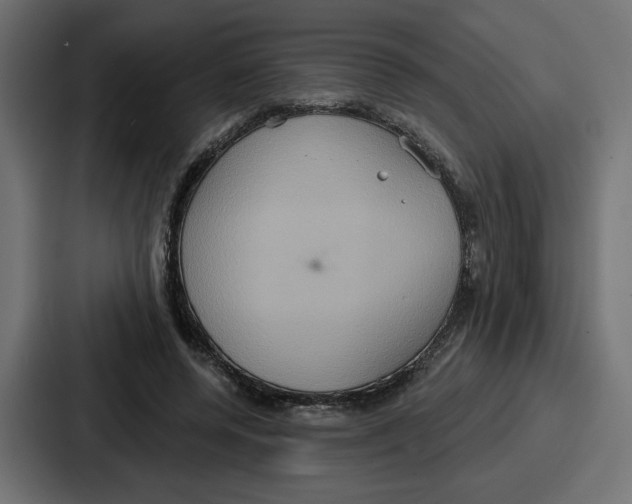 X0000086750544200705111657
