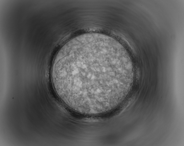 X0000086750545200705111657