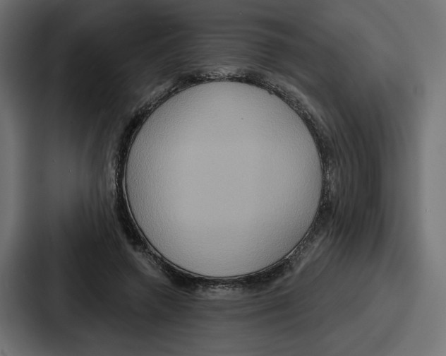 X0000086750546200705111657