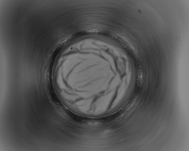 X0000086750547200705111657