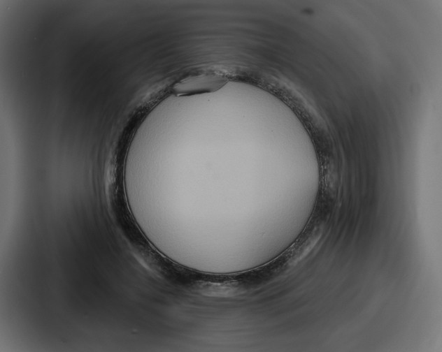 X0000086750548200705111657