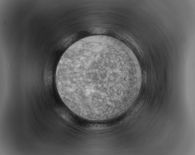 X0000086750549200705111657