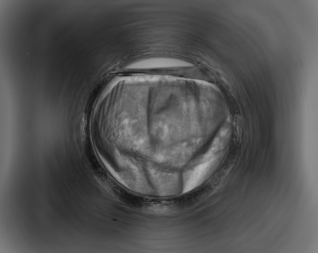 X0000086750550200705111657