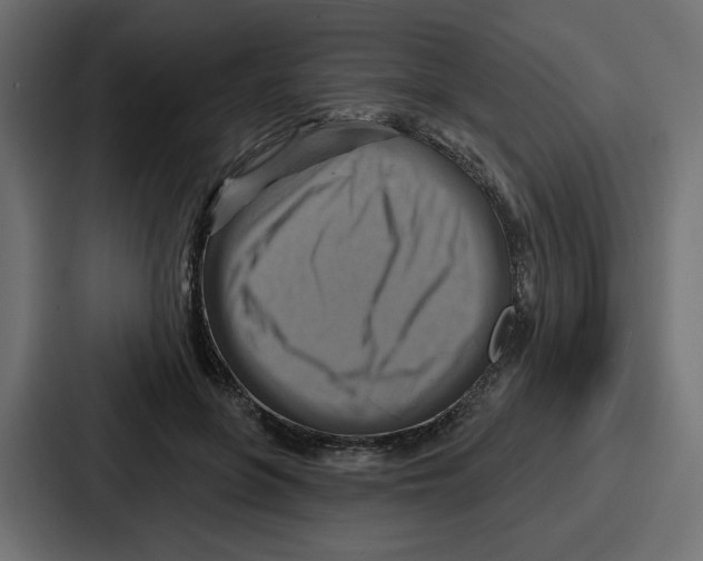 X0000086750551200705111657