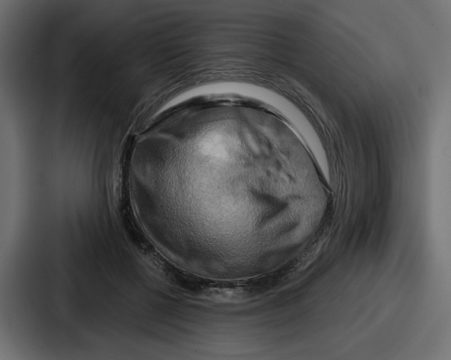 X0000086750552200705111657