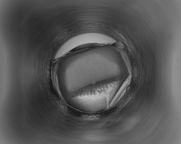 X0000086750553200705111657