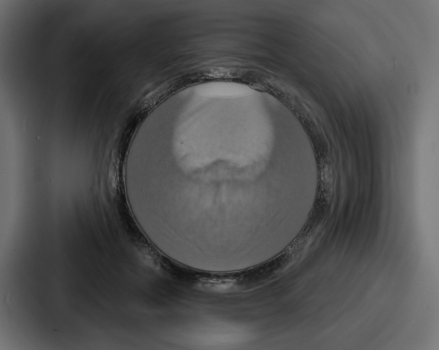 X0000086750554200705111657