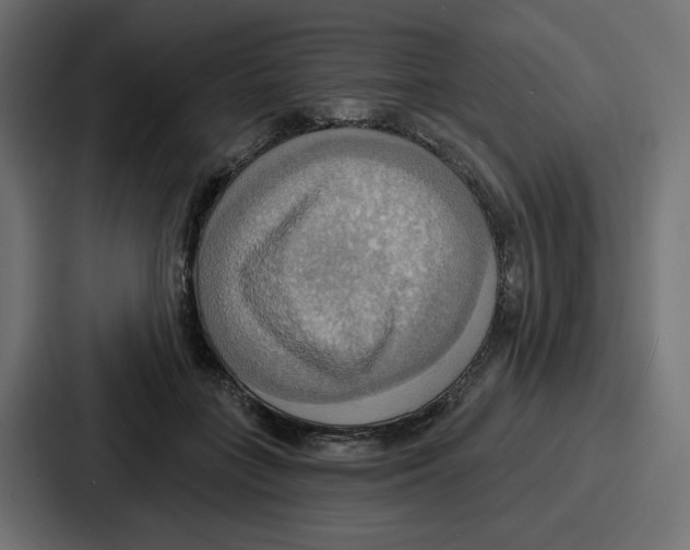 X0000086750555200705111657