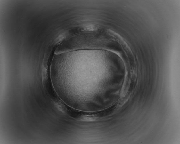X0000086750556200705111657