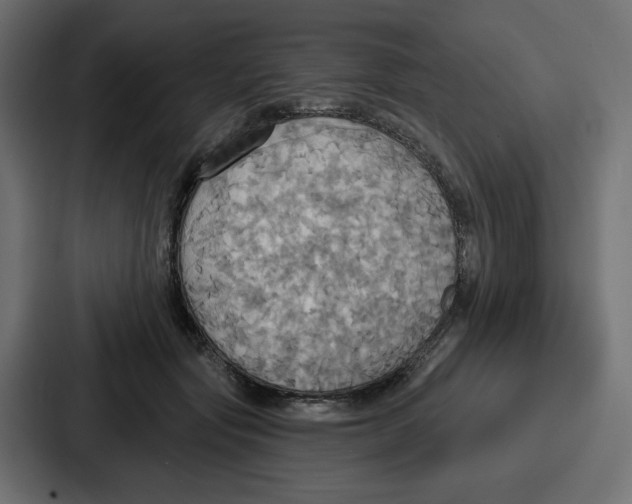 X0000086750557200705111657