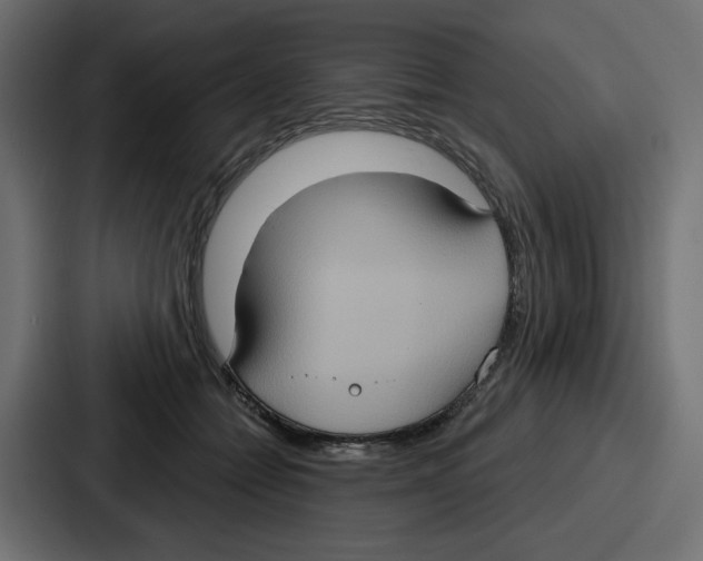 X0000086750558200705111657