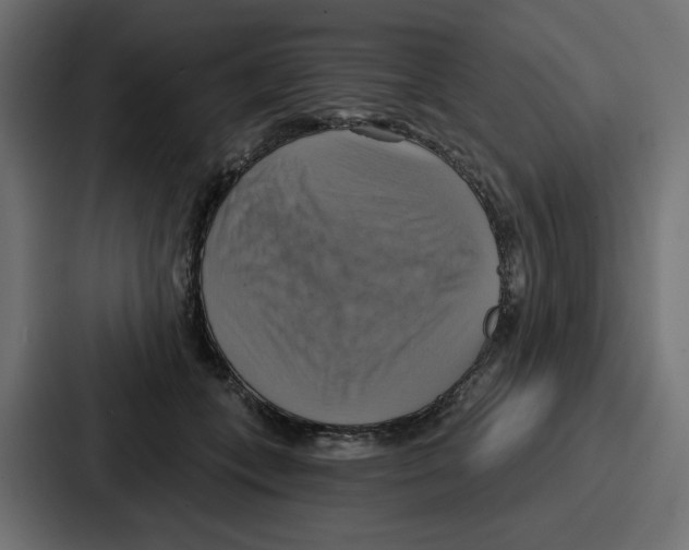 X0000086750559200705111657