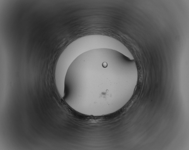 X0000086750560200705111657