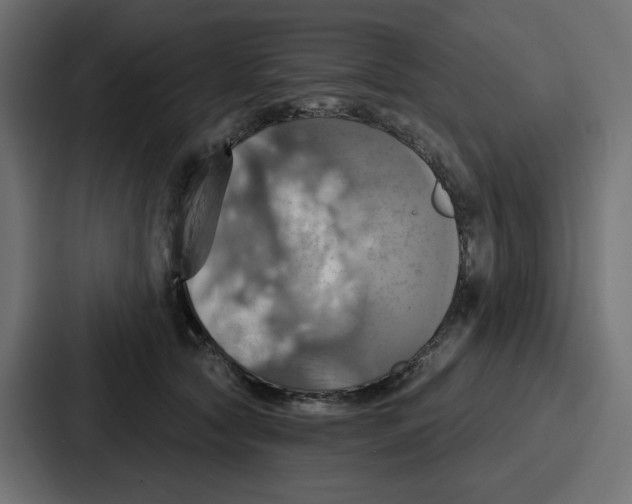 X0000086750561200705111657