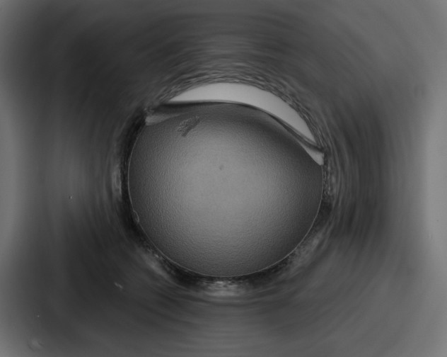 X0000086750562200705111657