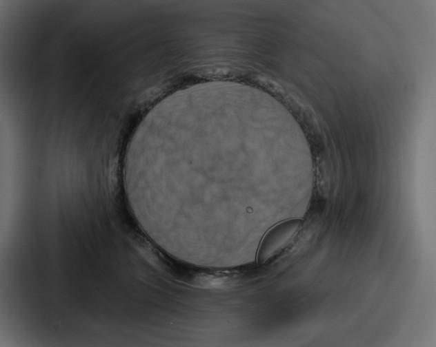 X0000086750563200705111657