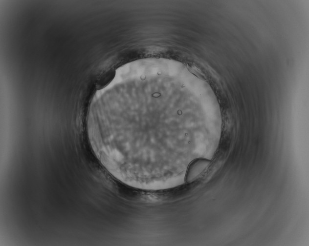 X0000086750565200705111657