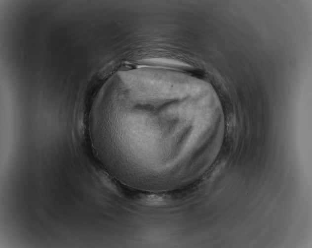 X0000086750566200705111657