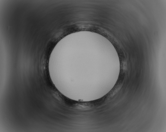 X0000086750567200705111657