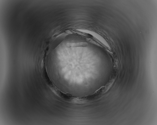 X0000086750568200705111657