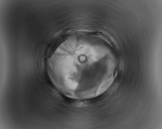 X0000086750569200705111657