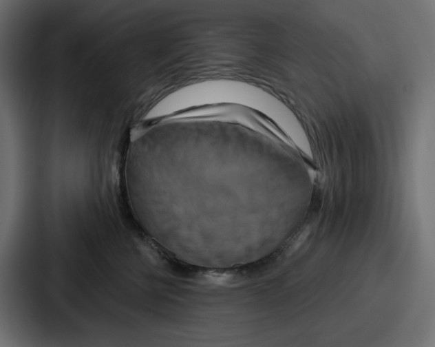 X0000086750570200705111657