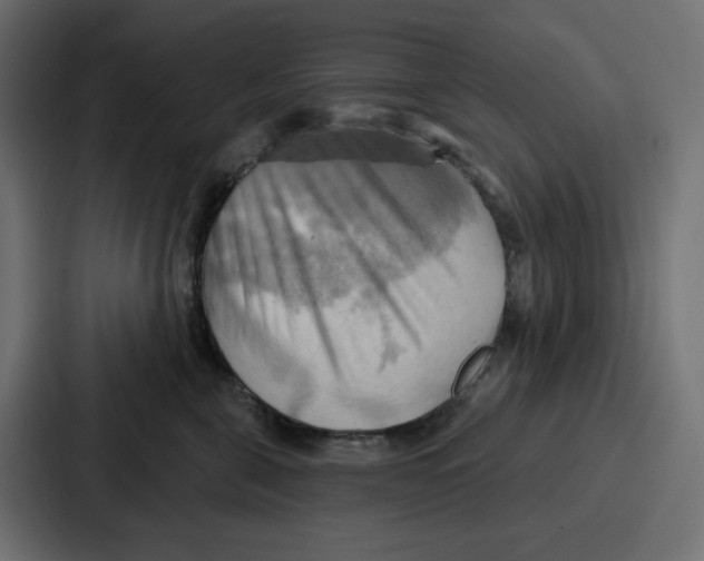 X0000086750571200705111657
