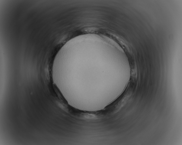 X0000086750572200705111657