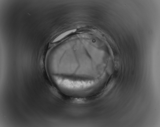 X0000086750573200705111657
