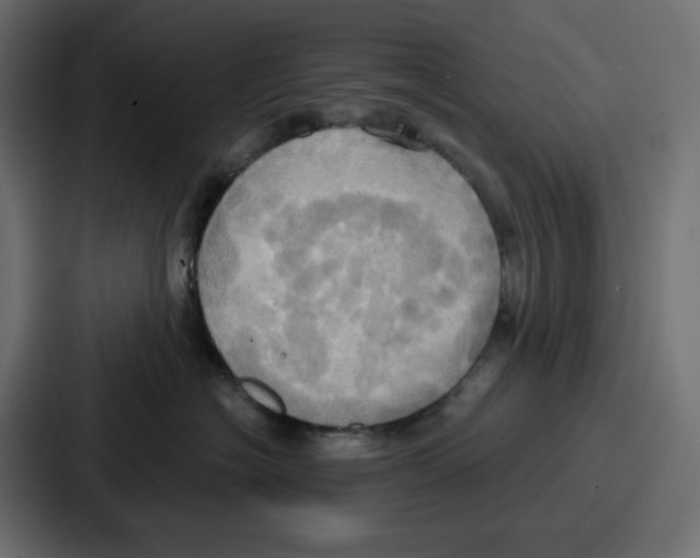 X0000086750574200705111657