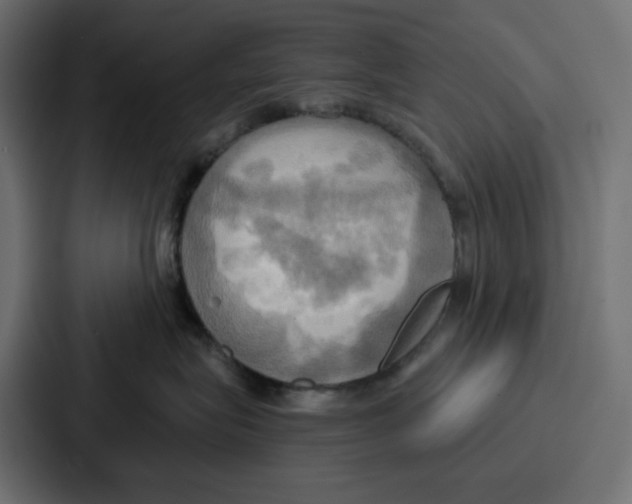 X0000086750575200705111657