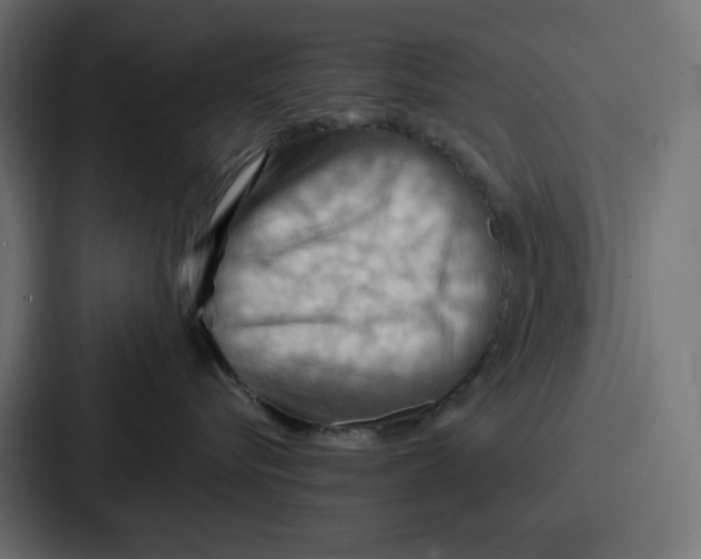 X0000086750576200705111657