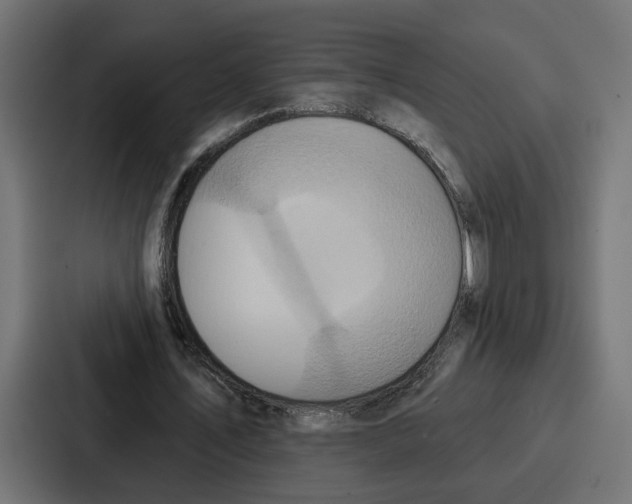 X0000086750579200705111657