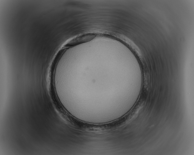 X0000086750580200705111657