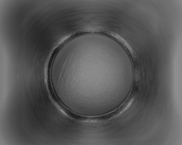 X0000086750581200705111657