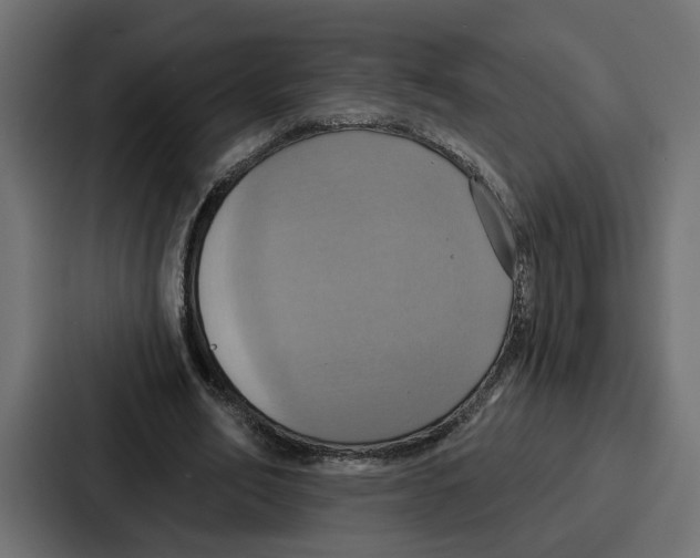 X0000086750582200705111657