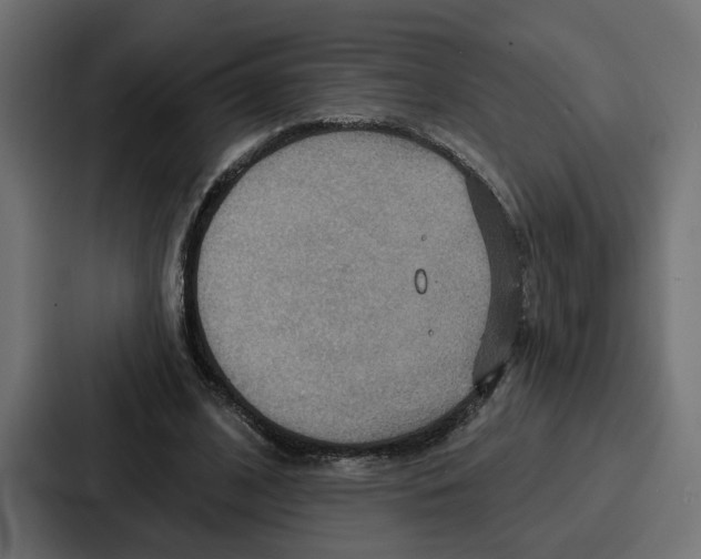 X0000086750584200705111656