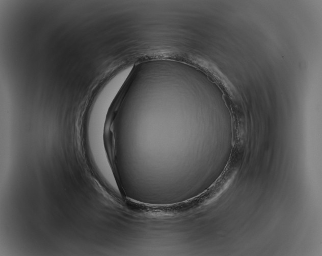 X0000086750585200705111656